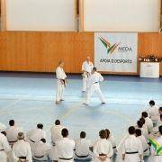 estagio karate 2016 4