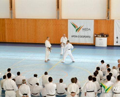 estagio karate 2016 4