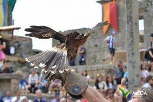 mercado medieval marialva 2016 sabado 55