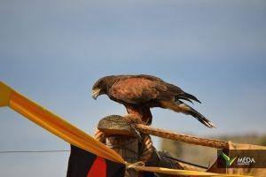 mercado medieval marialva sabado 2017 88