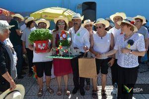 santos populares idosos meda 2017 110