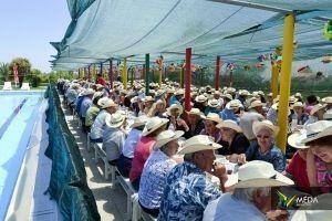 santos populares idosos meda 2017 19