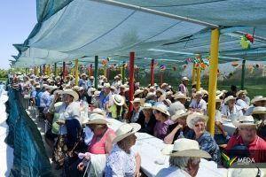 santos populares idosos meda 2017 32