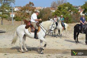 passeio equestre 2017 27