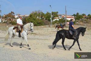 passeio equestre 2017 32