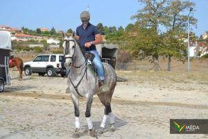 passeio equestre 2017 33