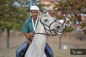 passeio equestre 2017 37