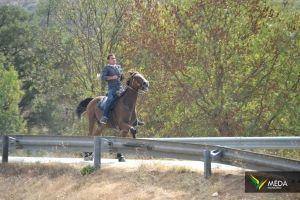 passeio equestre 2017 77