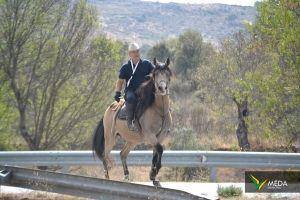 passeio equestre 2017 80