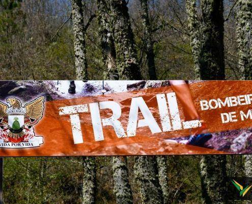 II trail bvm 177