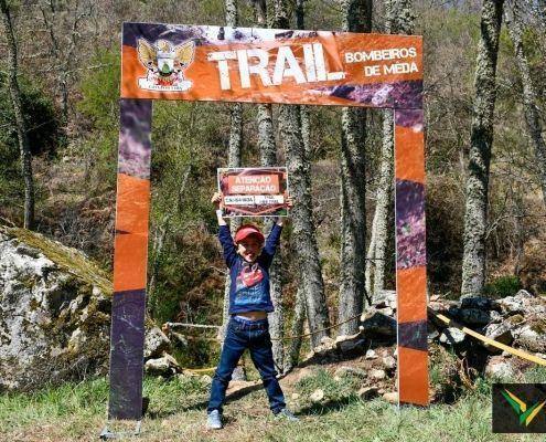 II trail bvm 178