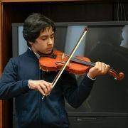 violino 6