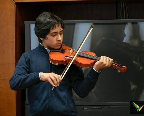 violino 6