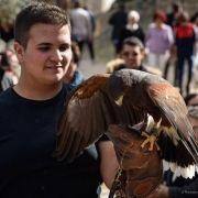 mercado medieval marialva 2019 dia 18 15