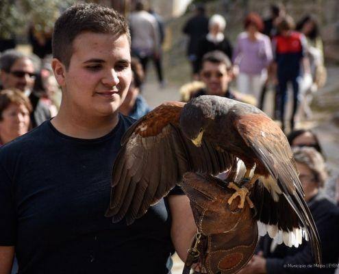 mercado medieval marialva 2019 dia 18 15