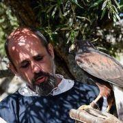 mercado medieval marialva 2019 dia 18 33