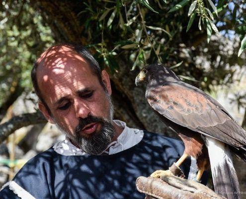 mercado medieval marialva 2019 dia 18 33