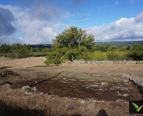 jornadas patrimonio 2019 103