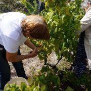 jornadas patrimonio 2019 154