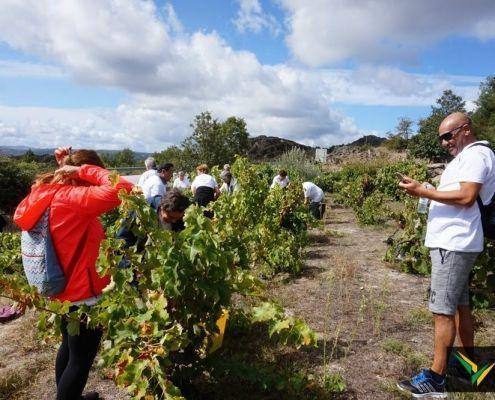 jornadas patrimonio 2019 156