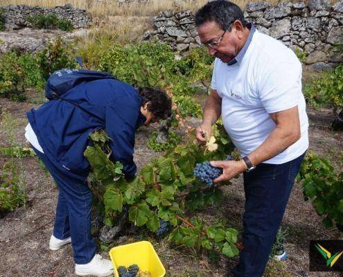 jornadas patrimonio 2019 157