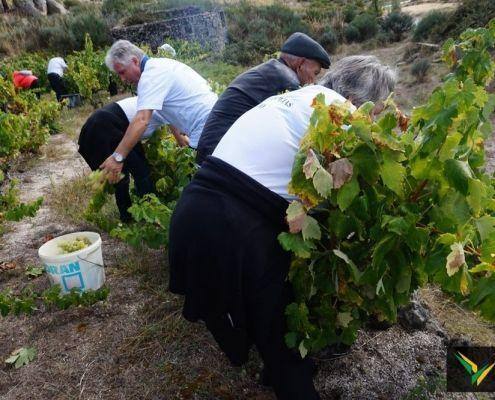 jornadas patrimonio 2019 158