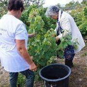 jornadas patrimonio 2019 159