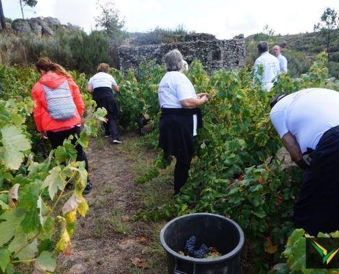 jornadas patrimonio 2019 162