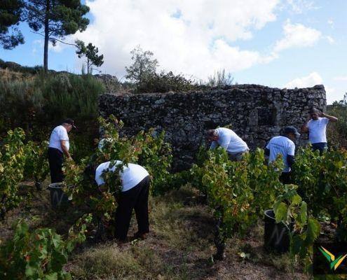 jornadas patrimonio 2019 167