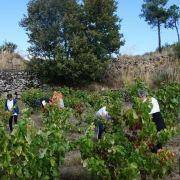 jornadas patrimonio 2019 168