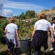 jornadas patrimonio 2019 169