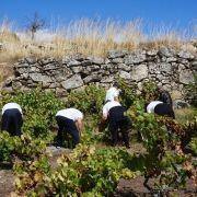 jornadas patrimonio 2019 172