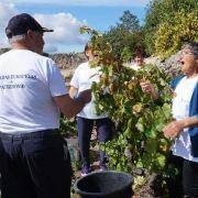 jornadas patrimonio 2019 173