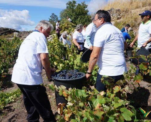 jornadas patrimonio 2019 174