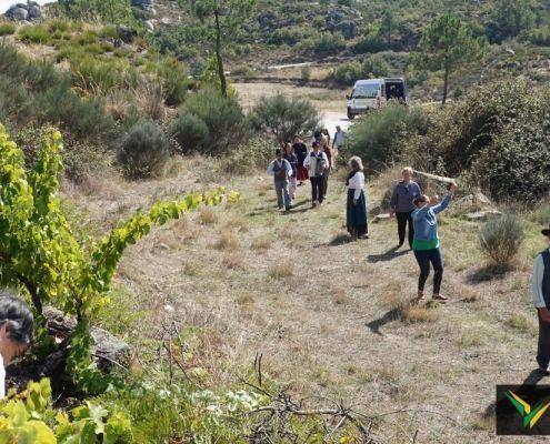 jornadas patrimonio 2019 176