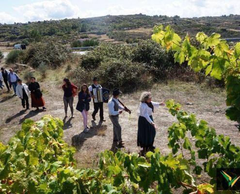 jornadas patrimonio 2019 178