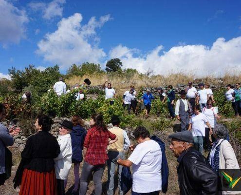 jornadas patrimonio 2019 179