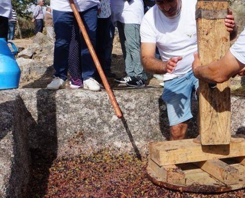 jornadas patrimonio 2019 289