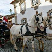 parada natal 2019 64 scaled