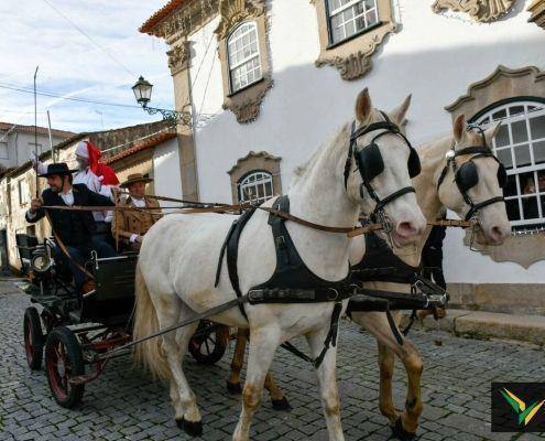 parada natal 2019 64 scaled