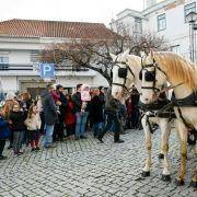 parada natal 2019 69 01 scaled