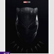 BLACK PANTHER scaled