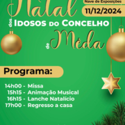 Cartaz Festa De Natal Idosos 2024